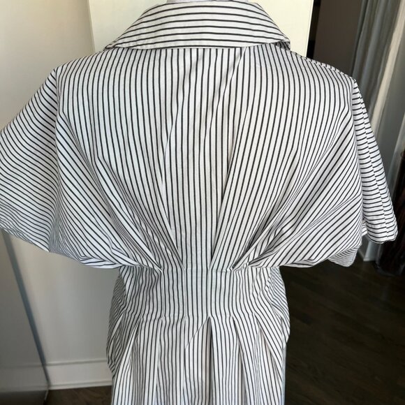 Anthropology The Tobie Button-Front Pleated Shirt Dress by Exquise - Picture 6 of 14